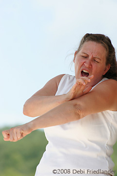 Jennifer Horak at Falcon Ridge Folk Festival 2008
