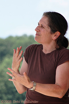 Nancy Kaplan at Falcon Ridge Folk Festival 2008
