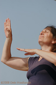 Nancy Kaplan at FRFF 2008